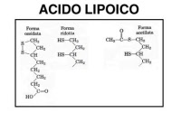 Doppio clic qui per cambiare immagine